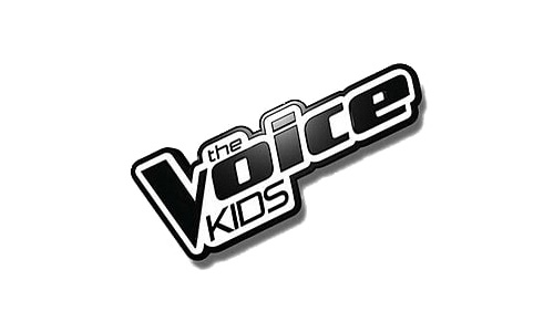 voice